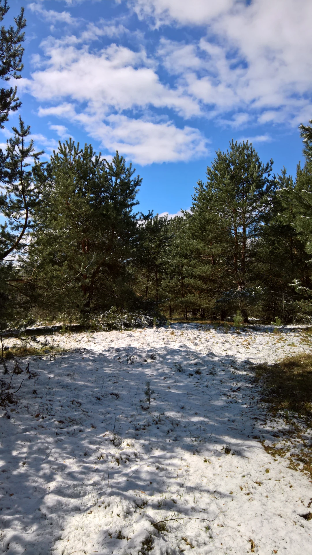Taken on Microsoft Lumia 950 XL